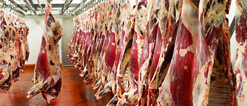 Isušivanje u mesnoj industriji-Trotec